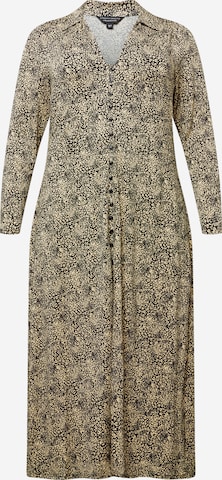 Dorothy Perkins Curve Платье-рубашка в Бежевый: спереди