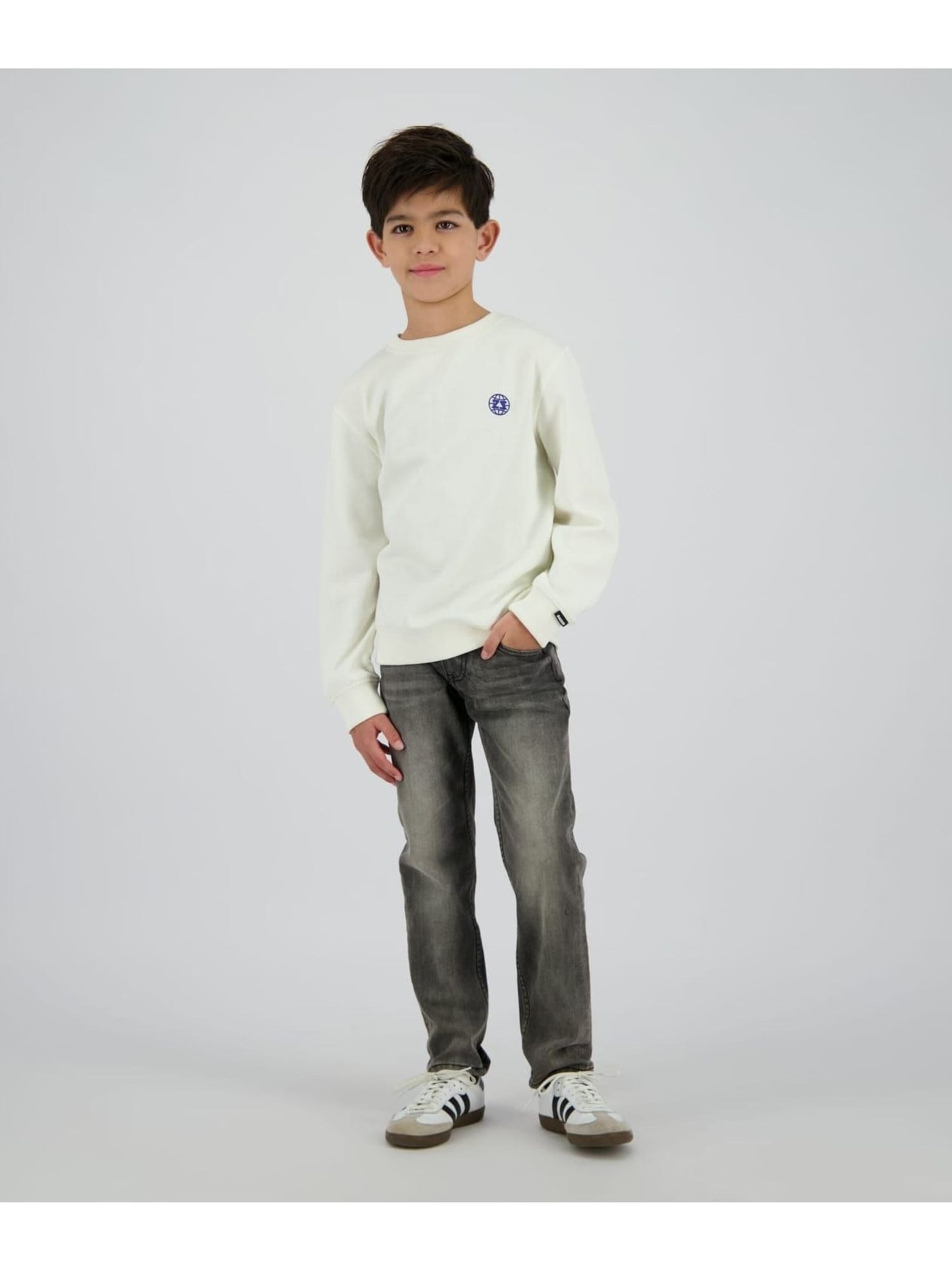 Raizzed Baggy Jeans in Grijs