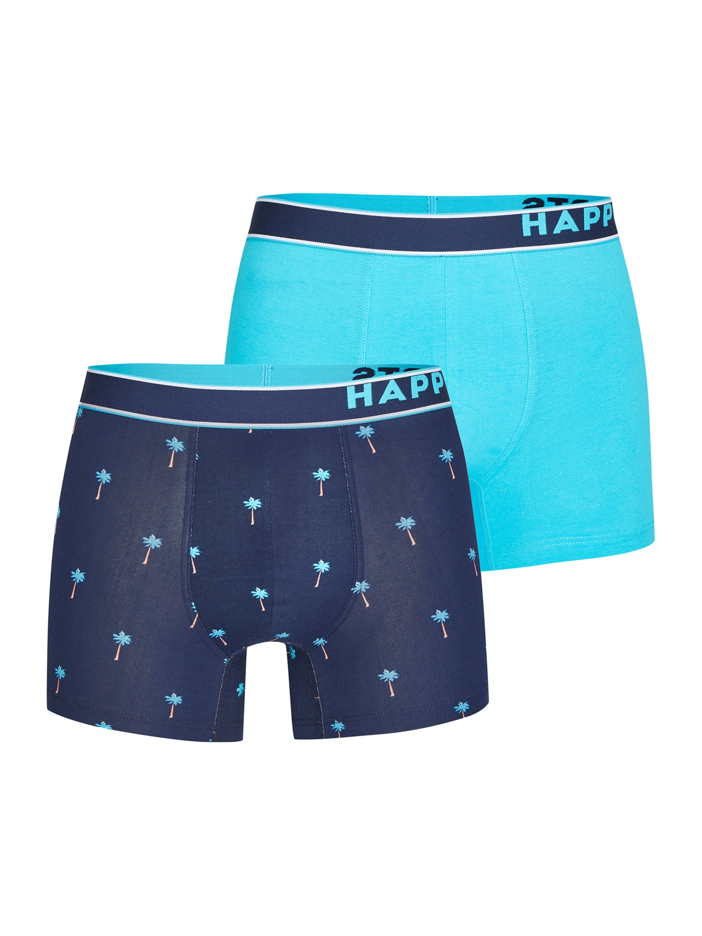 Happy Shorts - Calzoncillo boxer 'Palms' en azul: frente