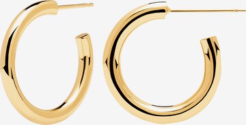 P D PAOLA Earrings in Gold: front