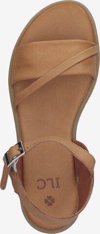 ILC Sandalen met riem in Bruin