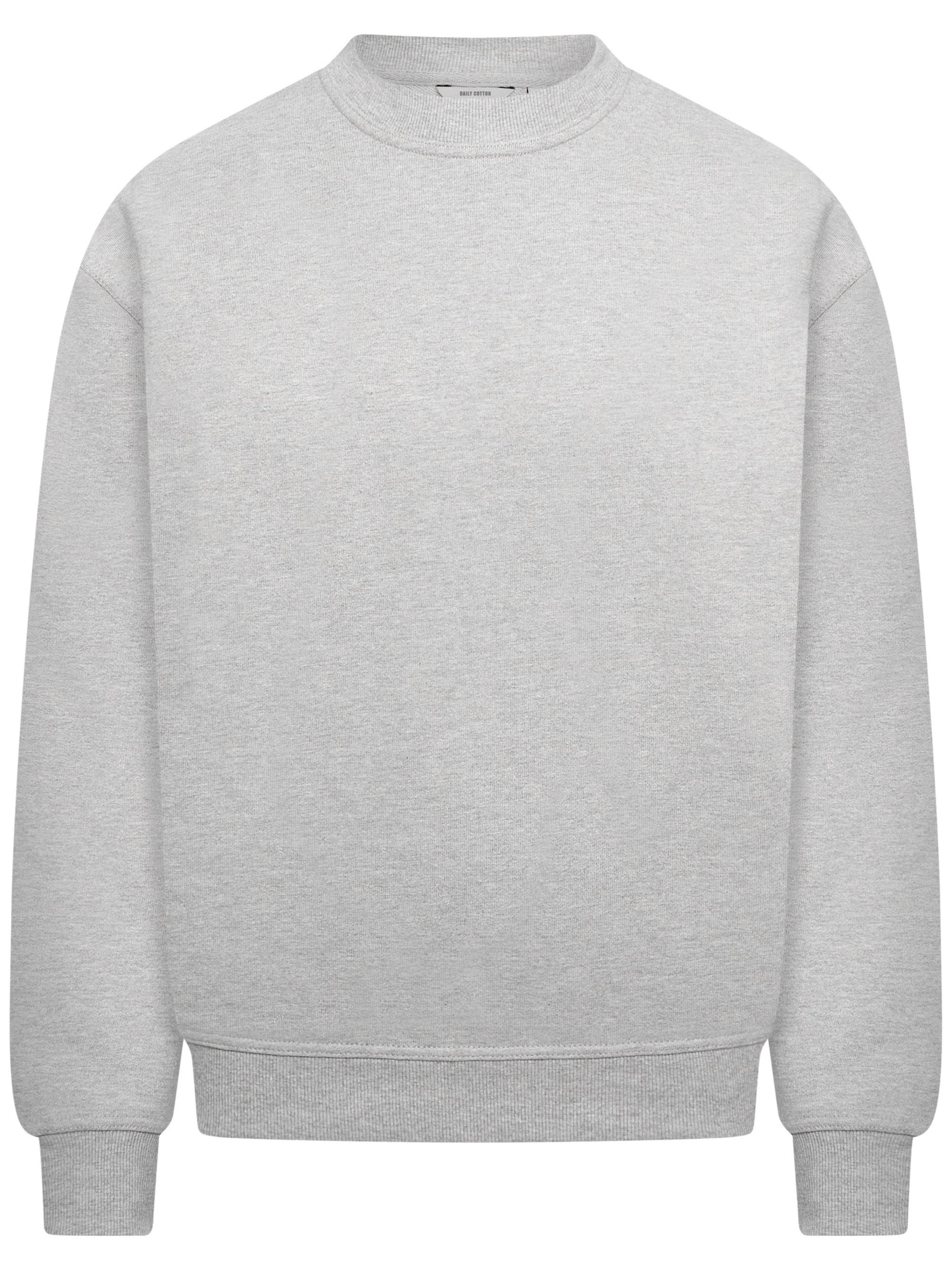 Daily Cotton Sweatshirt 'DCSORIA' in Grey