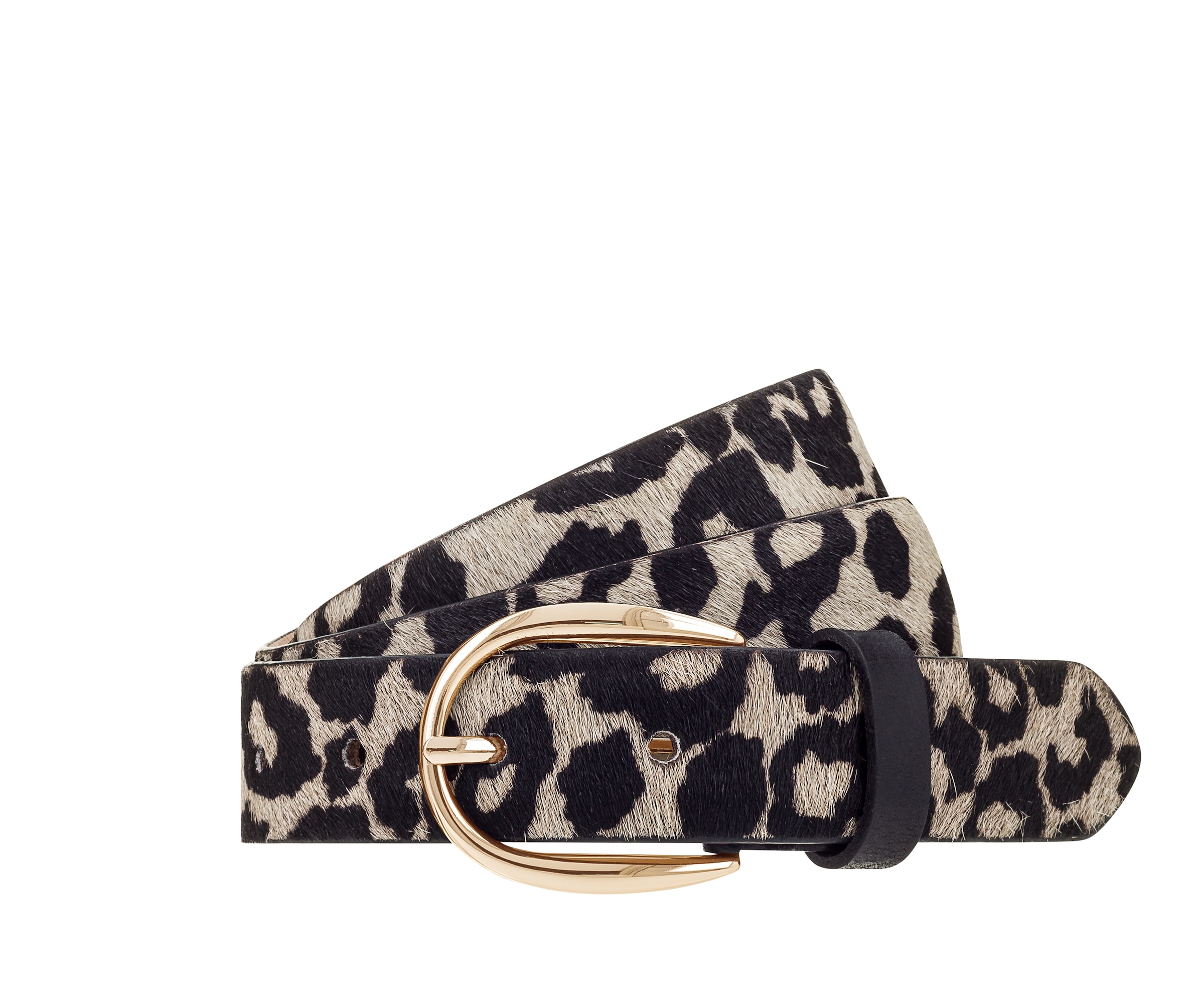 VANZETTI Belt in Black: front
