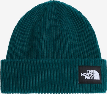mėlyna THE NORTH FACE Megzta kepurė 'Salty': priekis