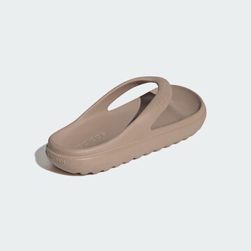 Tongs 'Adilette Lumia'' ADIDAS SPORTSWEAR en marron