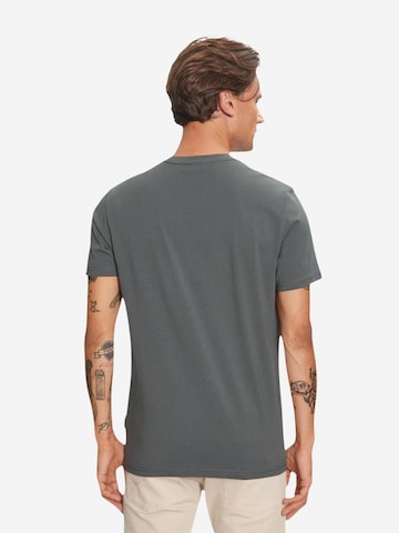 T-Shirt 'Salis' NAPAPIJRI en gris