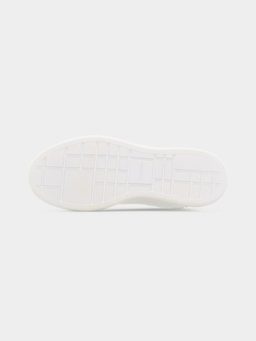 Baskets basses Calvin Klein en blanc