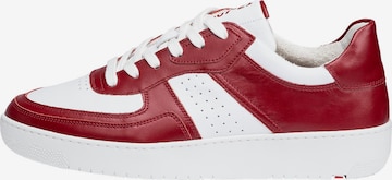 LLOYD Sneakers laag 'ALTO' in Rood: voorkant