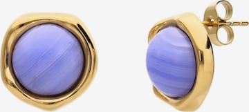 Lucardi Oorbellen in Goud: voorkant