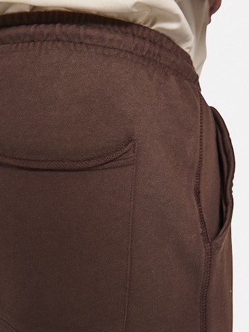 Regular Pantalon 'Fresh' Redefined Rebel en marron