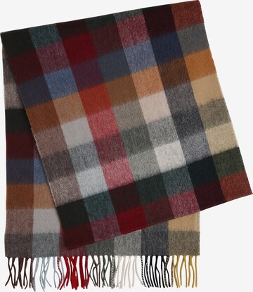 Andrew James Scarf in Mixed colors