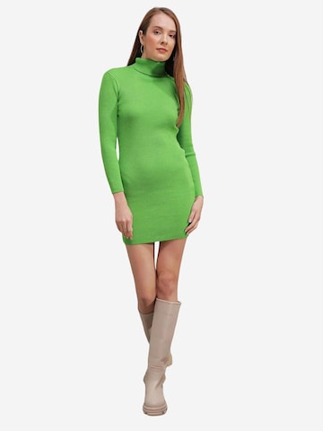 Bigdart Knit dress in Green