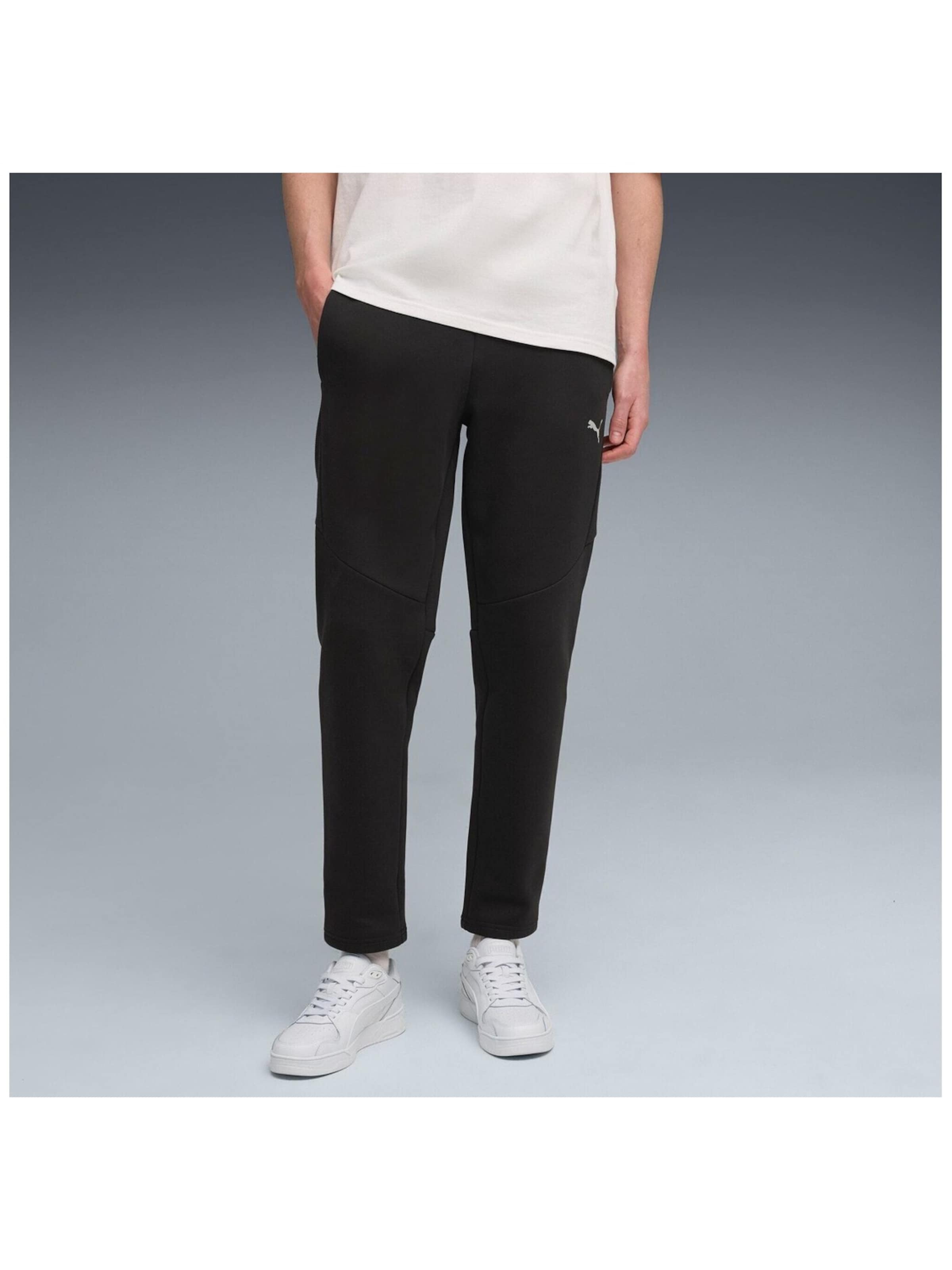 PUMA Regular Sports trousers 'Puma Evostripe Pants Dk' in Black