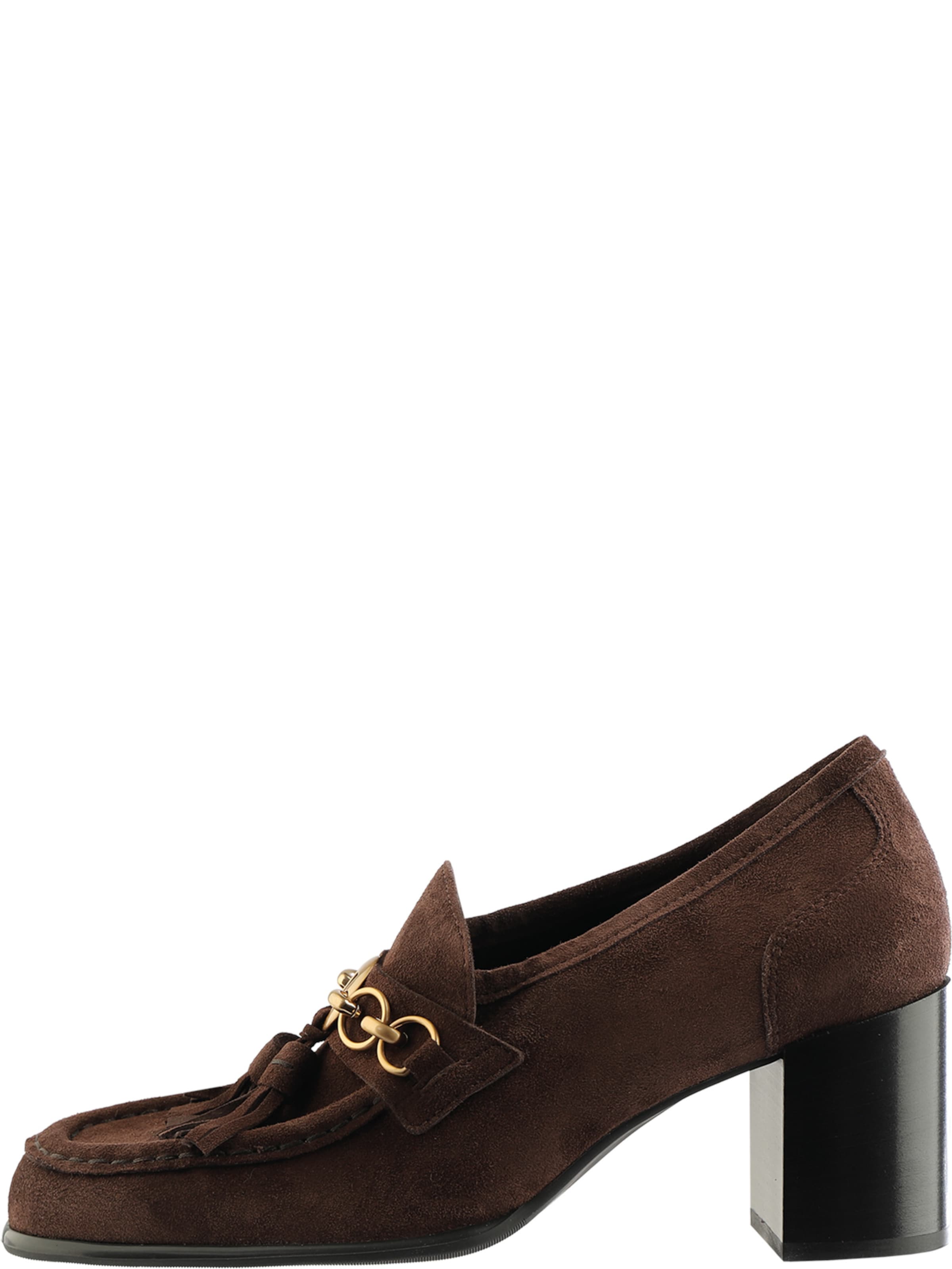 Högl Pumps 'KIMBERLY' in Bruin: voorkant