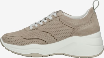 IGI&CO Sneakers in Beige