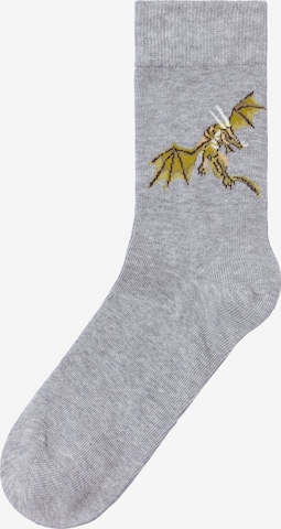 H.I.S Socks in Grey