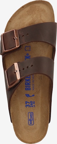 Saboți 'Arizona' de la BIRKENSTOCK pe maro