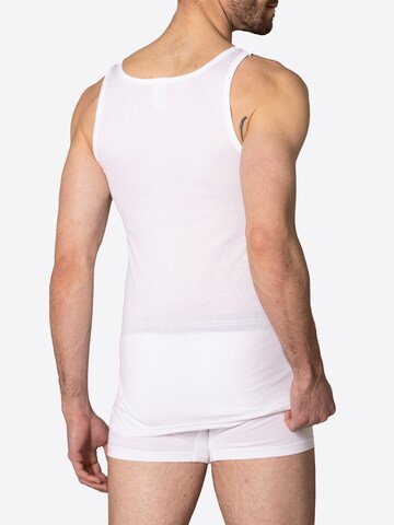 Haasis Bodywear Undershirt 'PIMA' in White