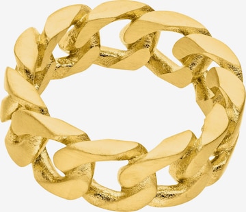 Steelwear Ring 'Aires' in Yellow: front