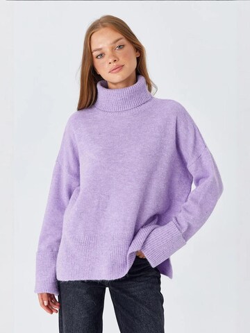 MixRay Sweater in Purple: front