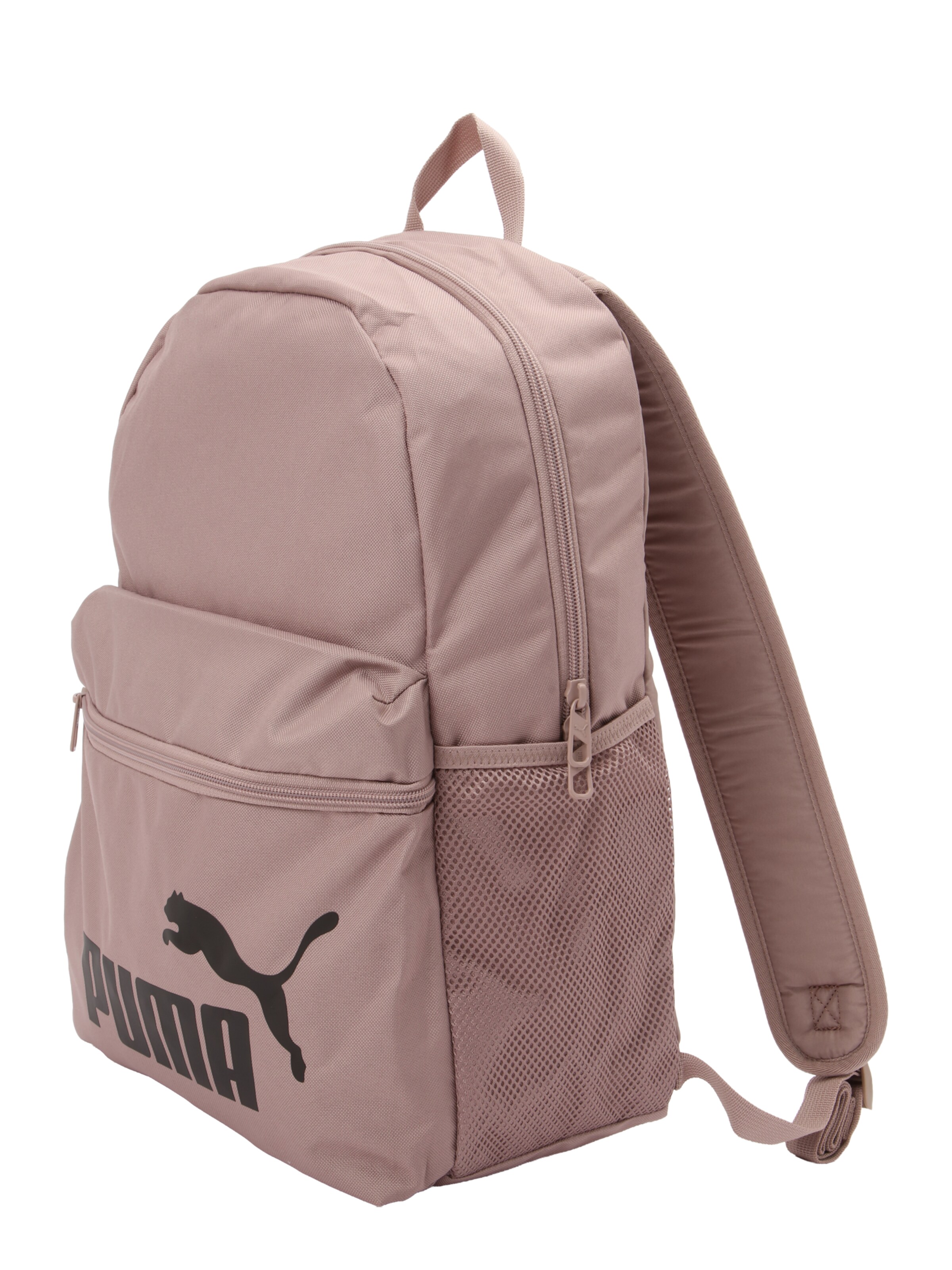 smėlio PUMA Kuprinė 'PHASE'