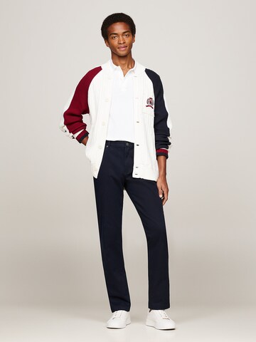 TOMMY HILFIGER Regular Jeans in Blue
