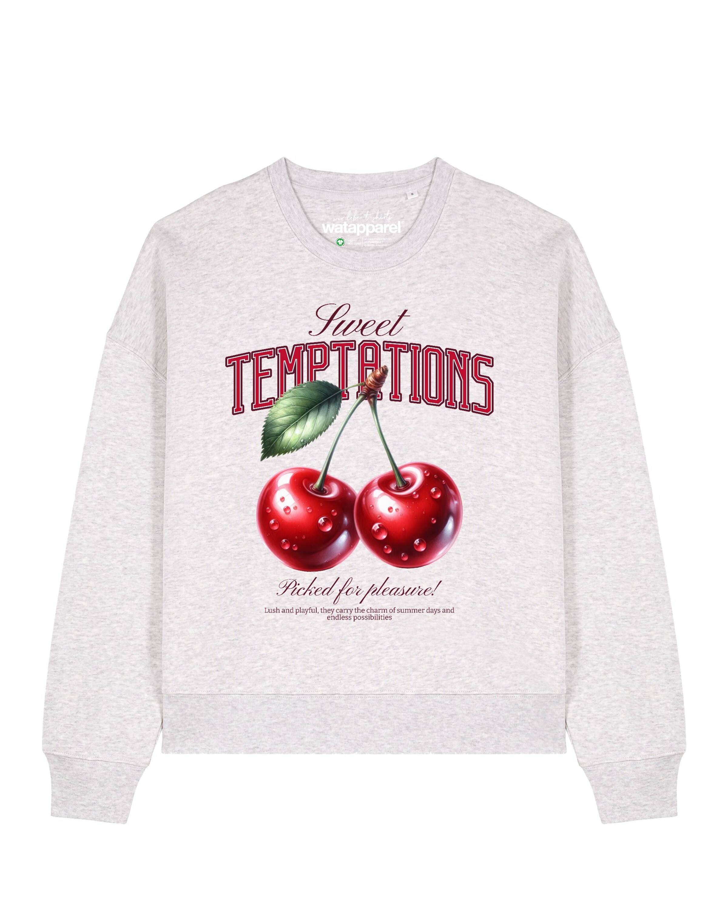 Sweat-shirt 'Sweet Temptations' Watapparel en gris : devant