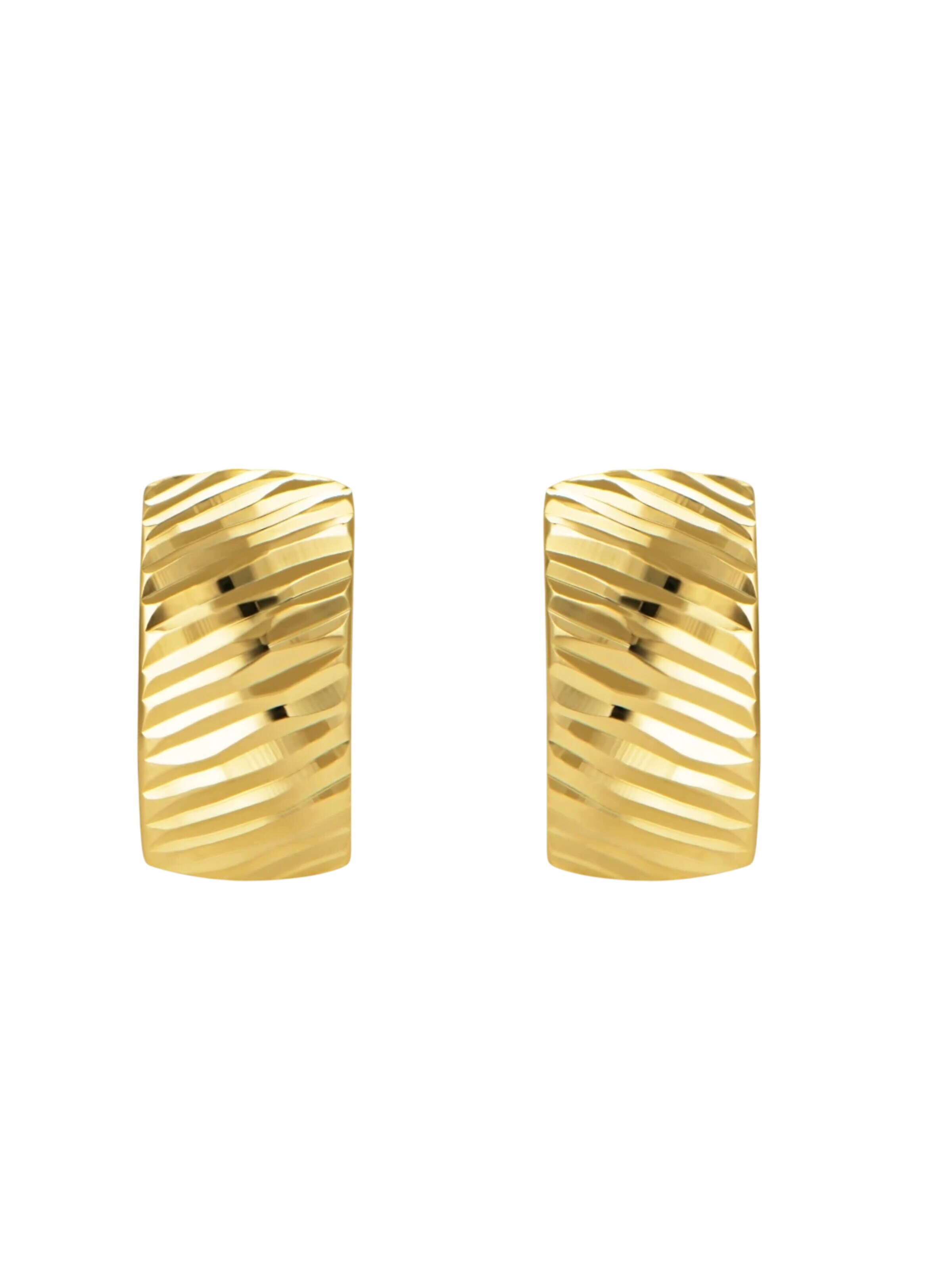 DIAMANT LETERNEL Earrings in Gold