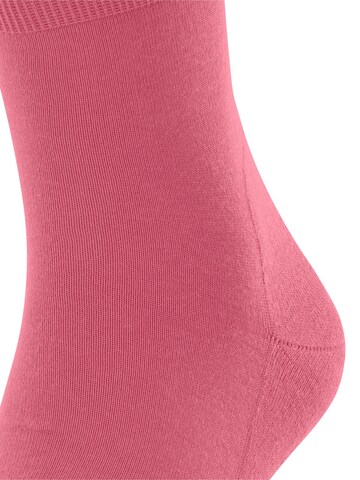 FALKE Socks 'Run' in Purple