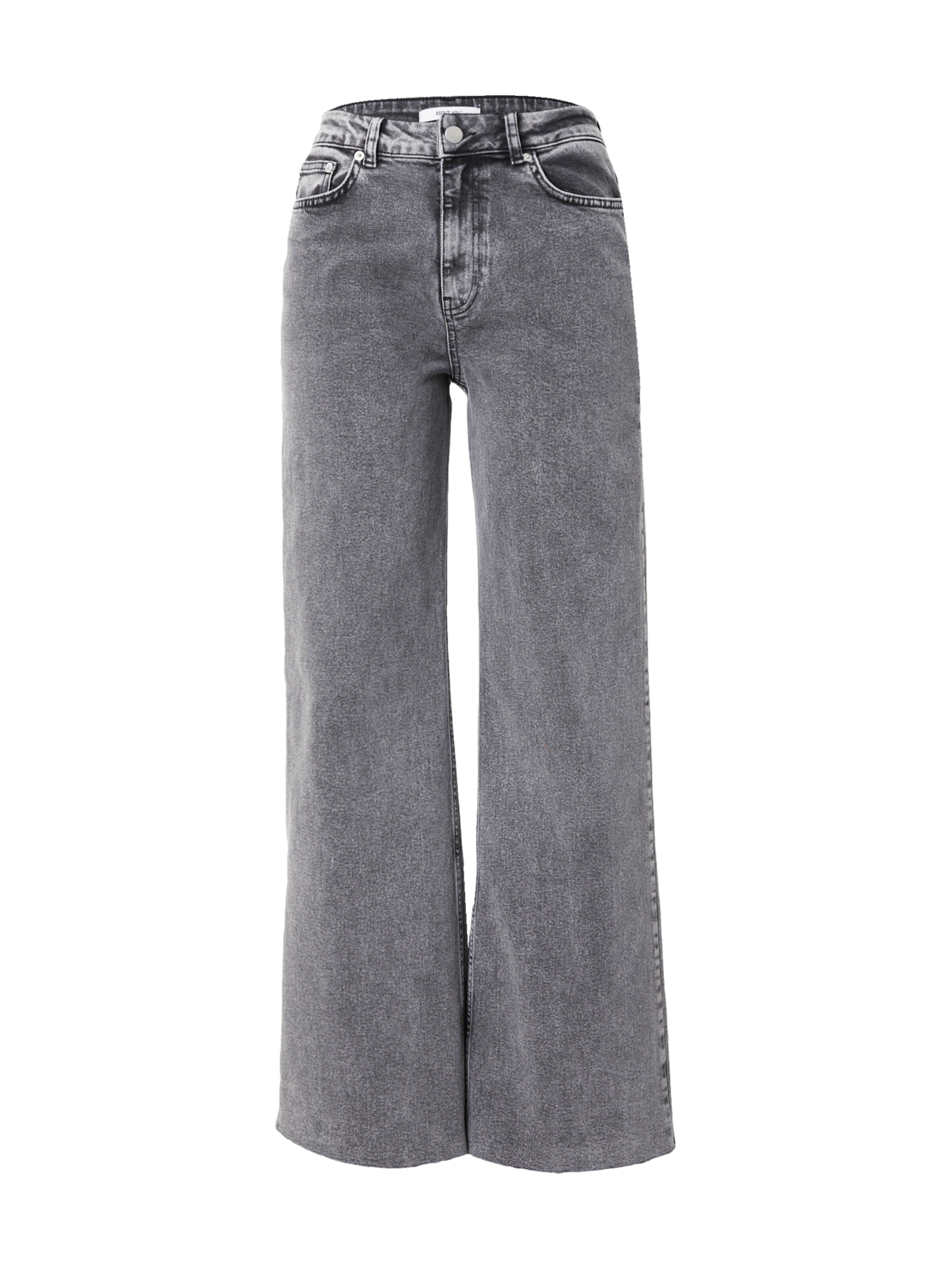 regular Jeans 'Tanisha' di ABOUT YOU in grigio: frontale