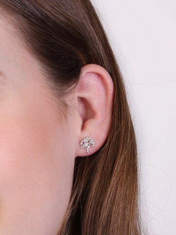 Lucardi Earrings in Silver: front