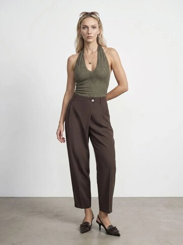Dilvin Regular Pants in Brown