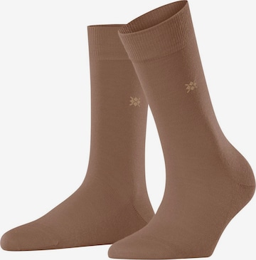 BURLINGTON Socks in Brown: front