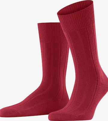 FALKE Socken 'Lhasa Rib' in Rot: Vorderseite