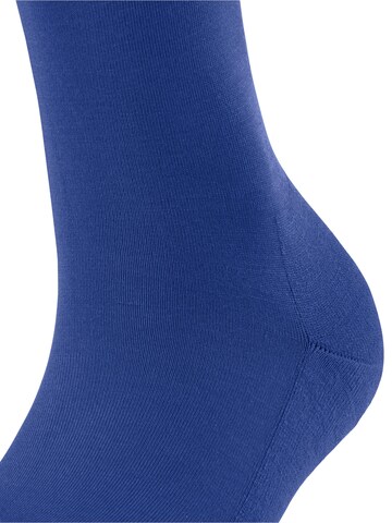 FALKE Knee High Socks 'ClimaWool' in Blue