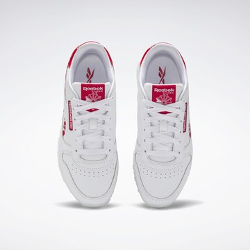 Reebok Sneaker i vit