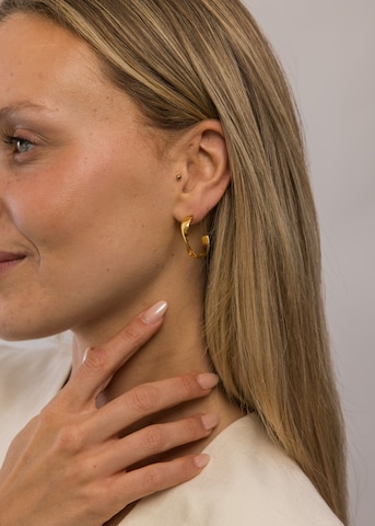 PURELEI Earrings 'Flow' in Gold