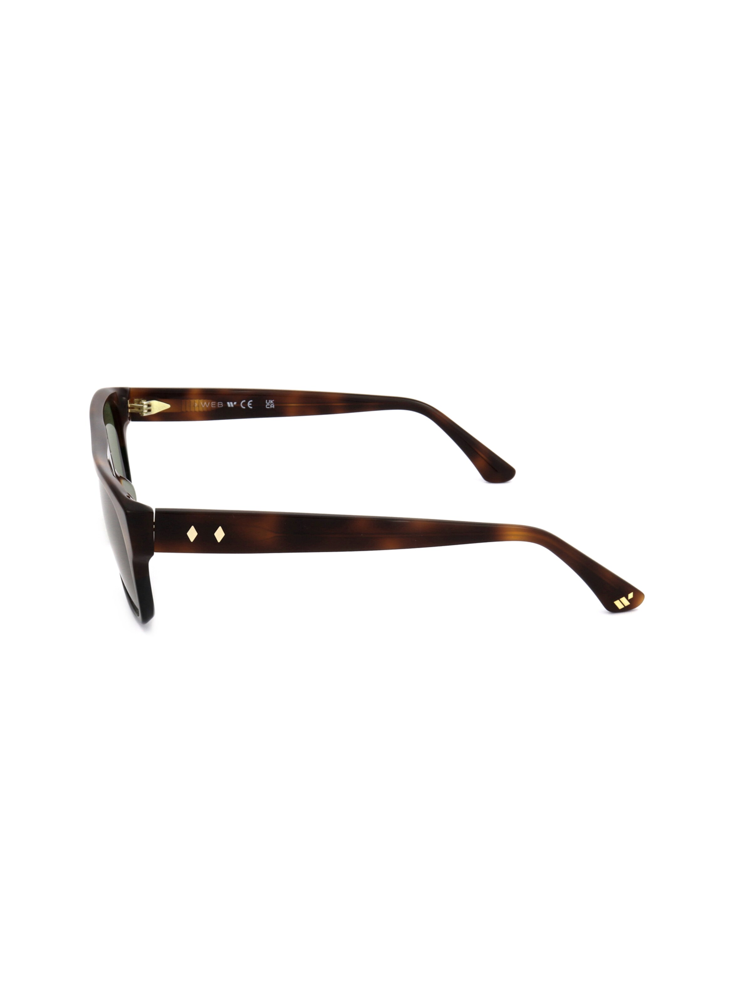 Occhiali da sole 'WE0359' di Web Eyewear in marrone