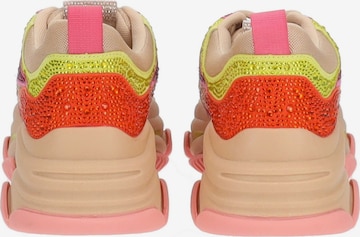 STEVE MADDEN Sneakers in Mixed colors