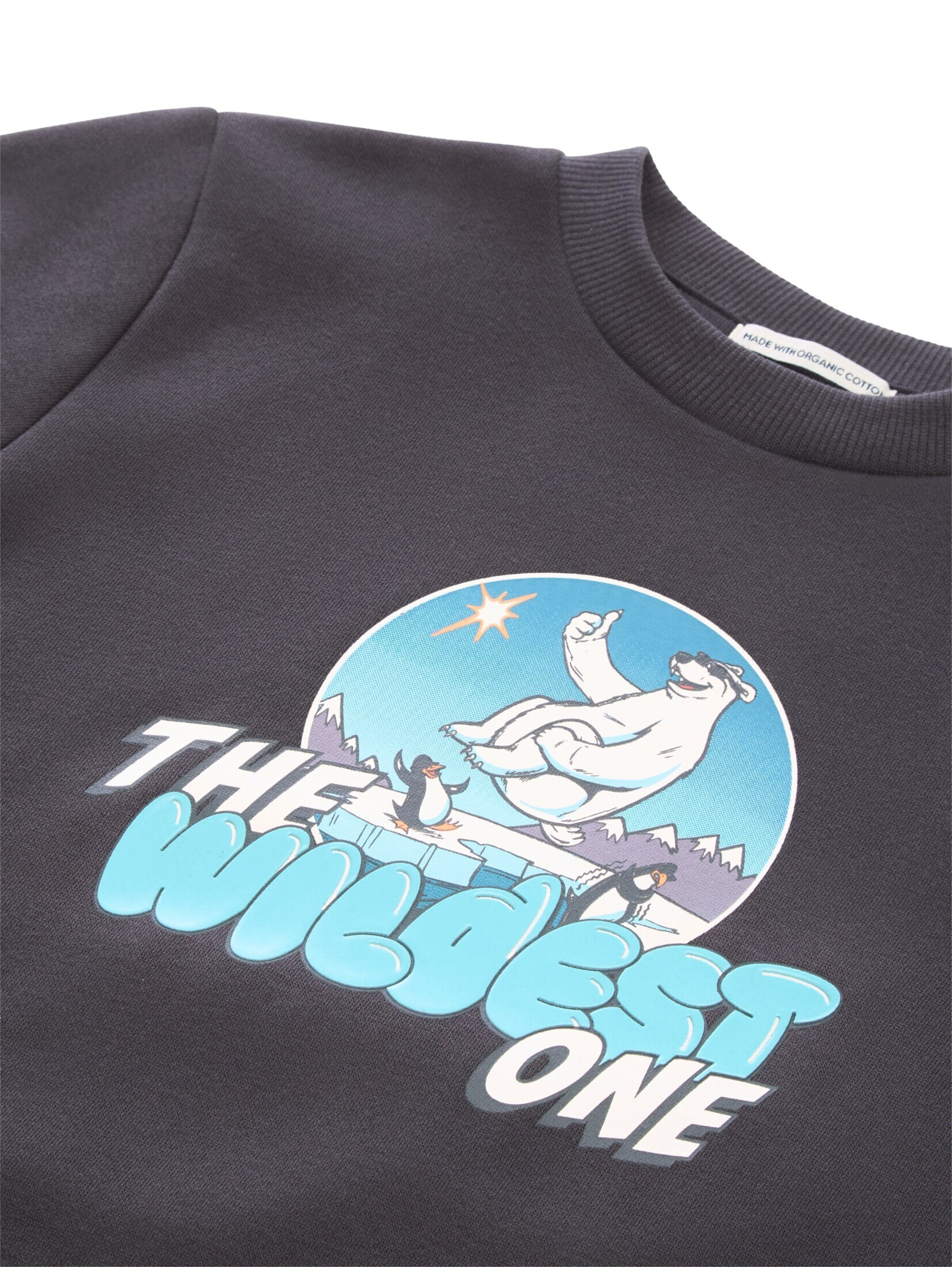 TOM TAILOR Sweatshirt in Grijs