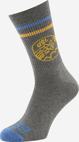 DIESEL Socks in Grey: front