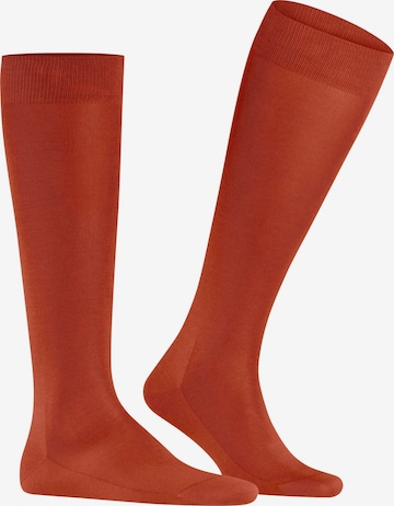 FALKE Knee High Socks 'Tiago' in Red: front