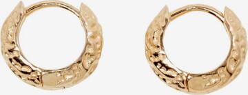 ESPRIT Earrings in Gold