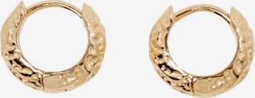 Boucles d'oreilles ESPRIT en or