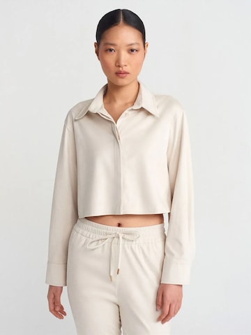 T-shirt Dilvin en beige : devant