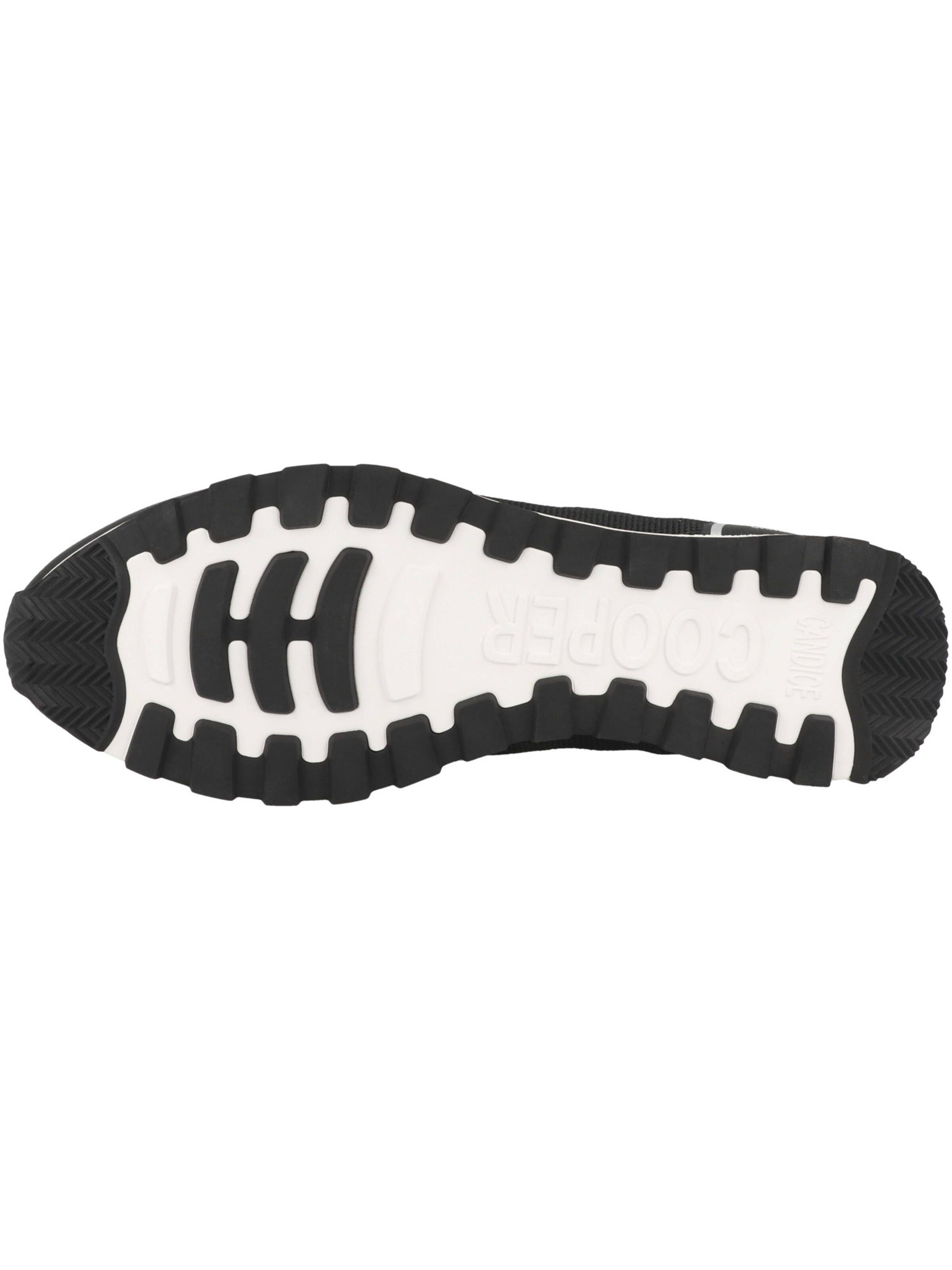 Candice Cooper Sneakers in Black