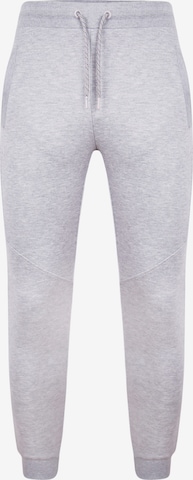 Threadbare Tapered Jogger 'Ottoman Slim Fit' in Grau: predná strana