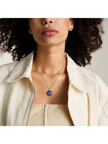 FOSSIL Necklace in Blue