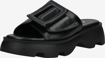 Zoccoletto di GABOR in nero: frontale