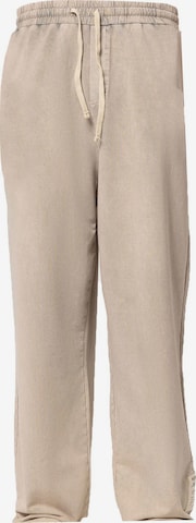 VAMOS CLO Штаны в Смешанный: спереди